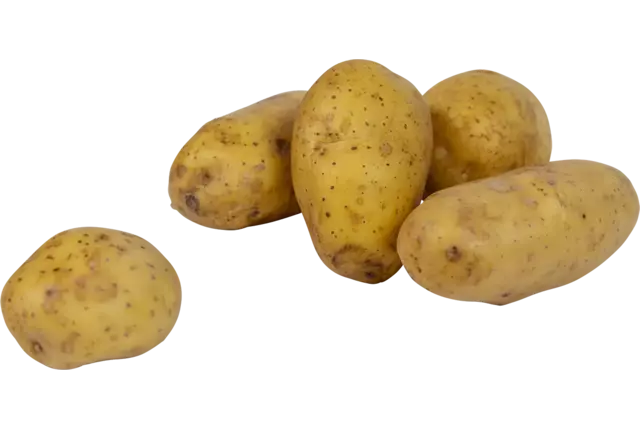 Nicola Potatoes 5 kg crade 4 pieces